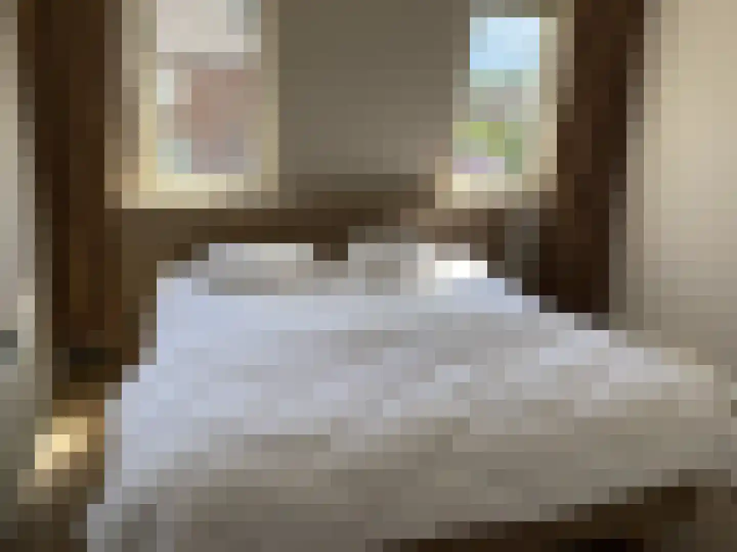 Mauritsstraat 7 A Lith thumbnail 19