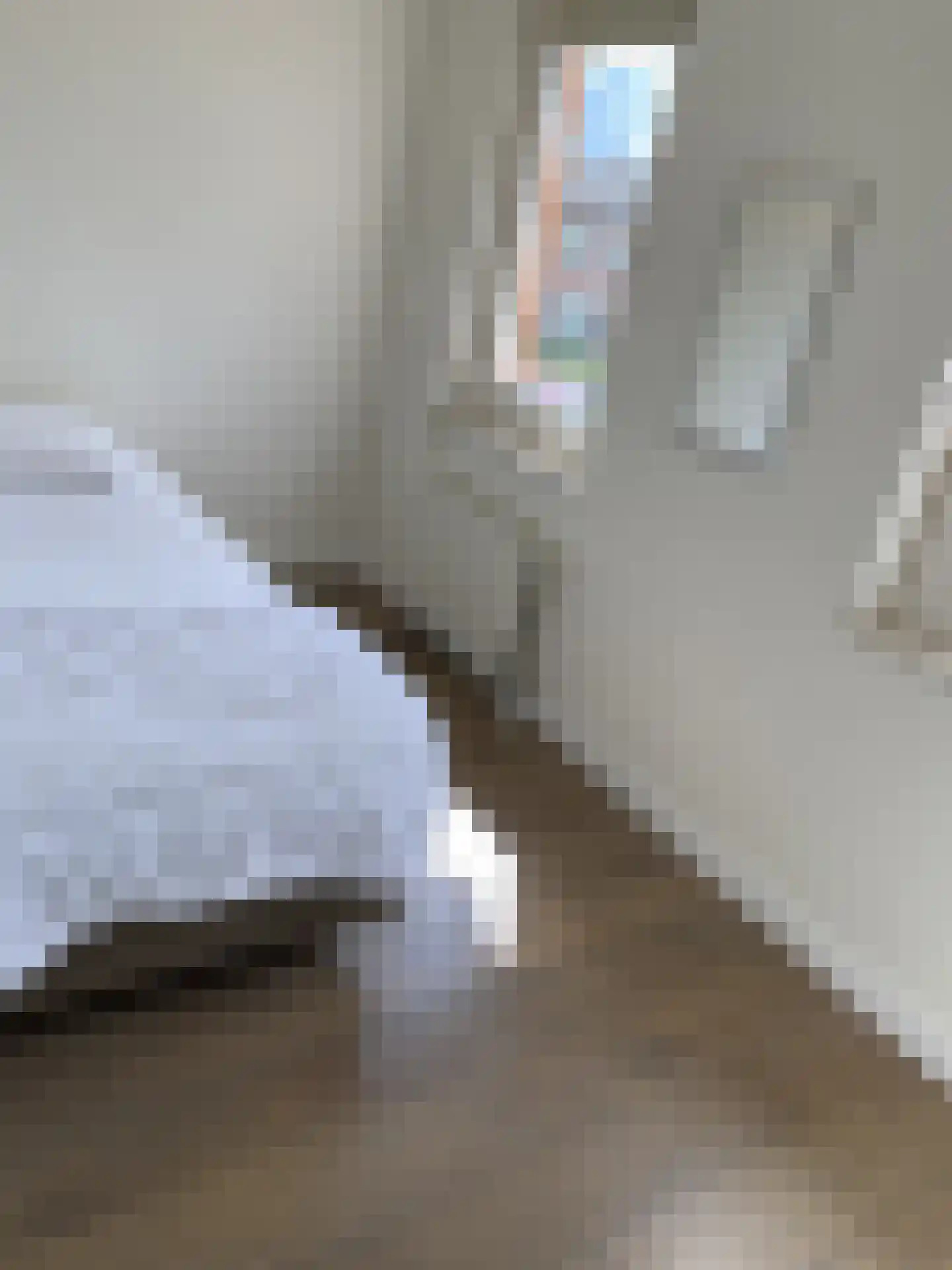 Mauritsstraat 7 A Lith thumbnail 22