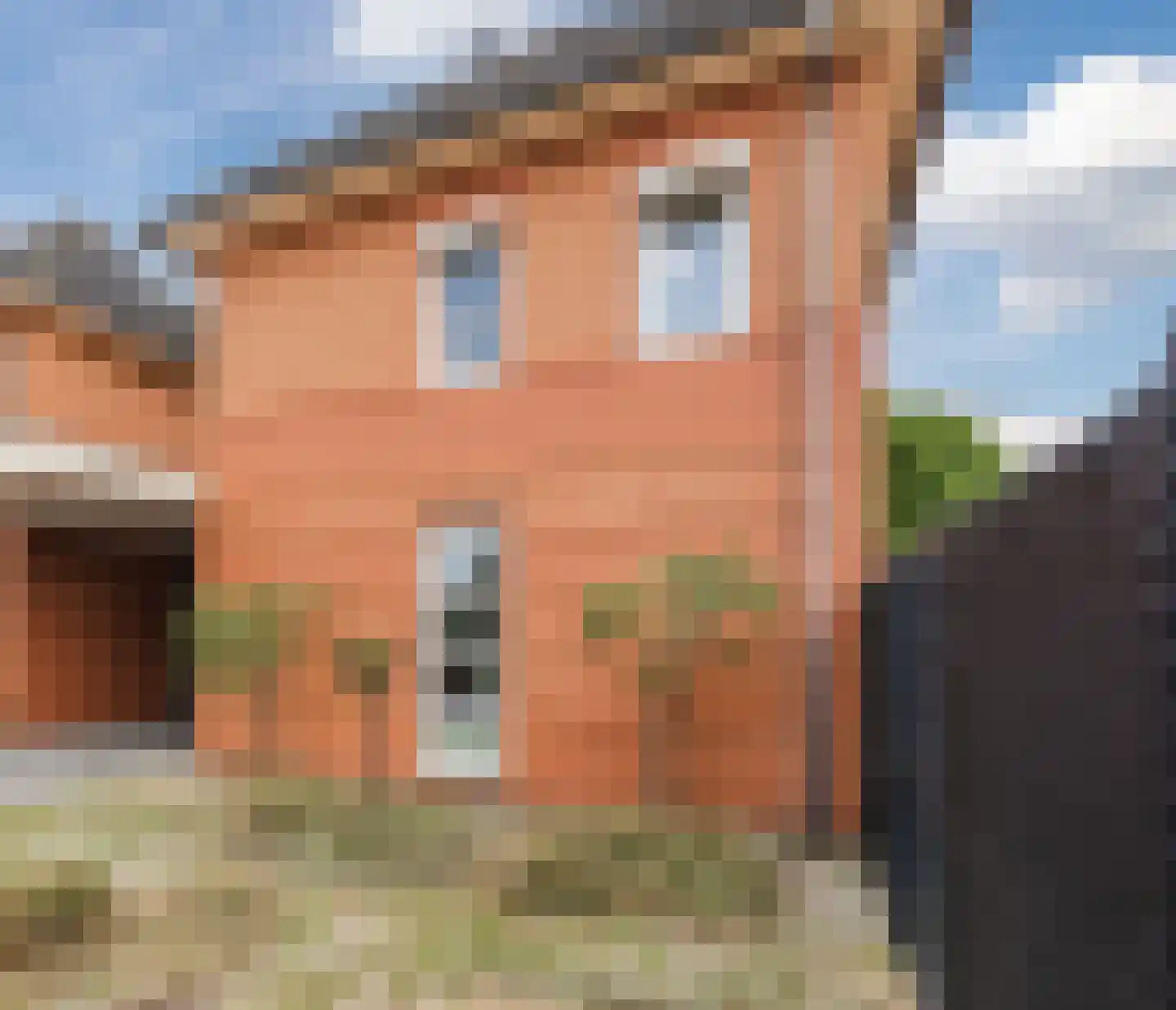 Mauritsstraat 7 A Lith thumbnail 27