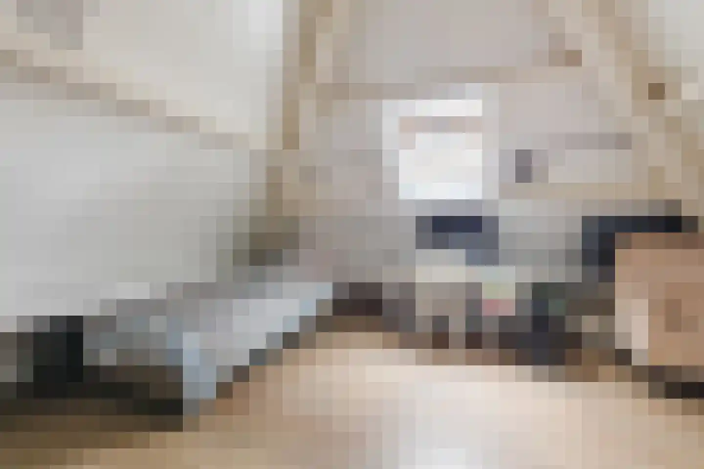 Mauritsstraat 7 A Lith thumbnail 30