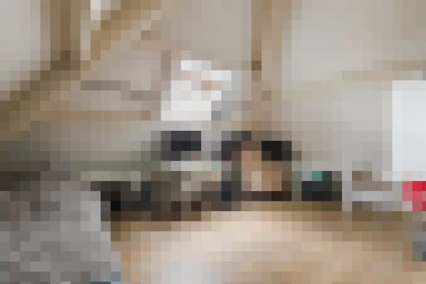Mauritsstraat 7 A Lith thumbnail 32