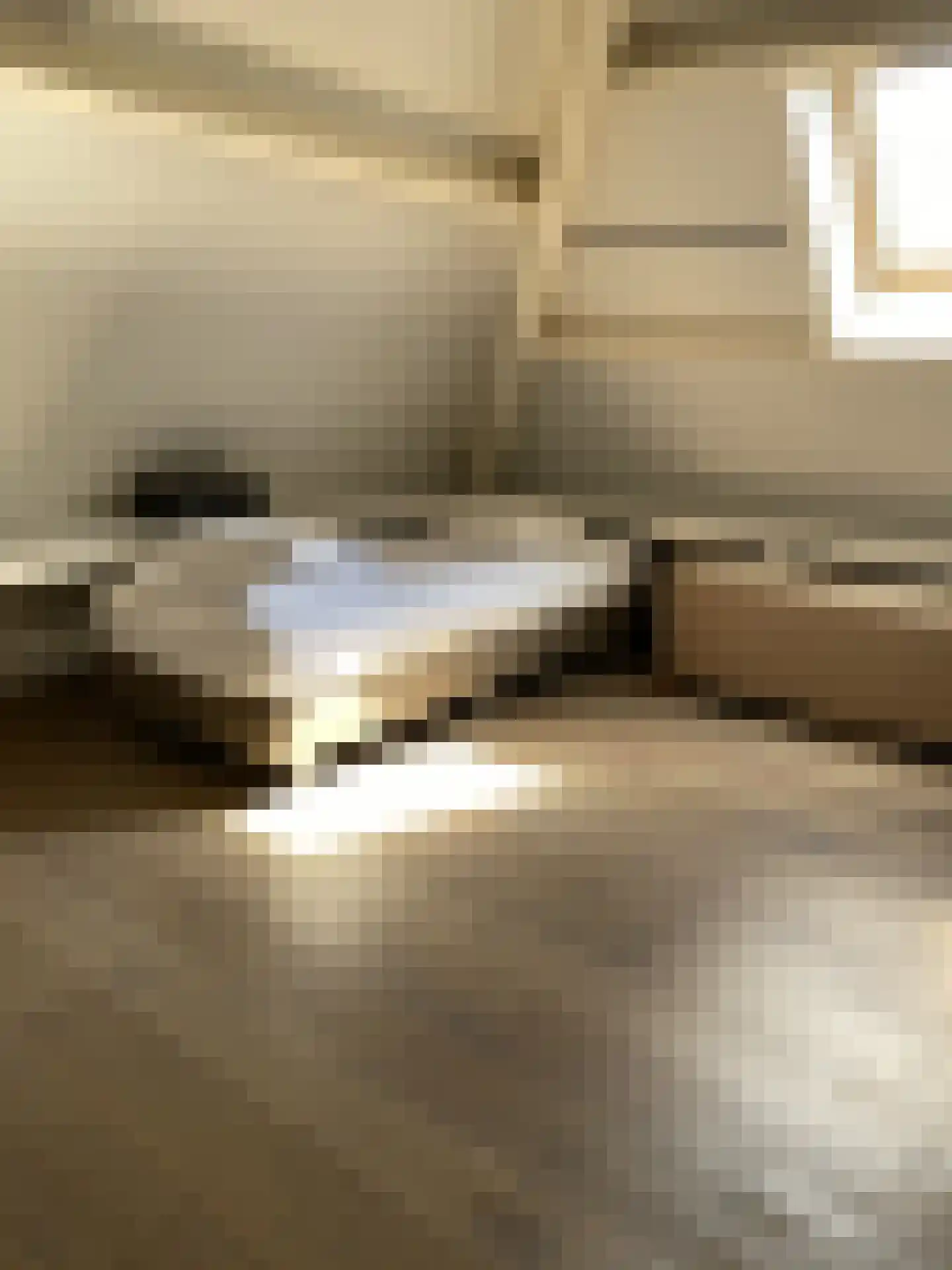 Mauritsstraat 7 A Lith thumbnail 35