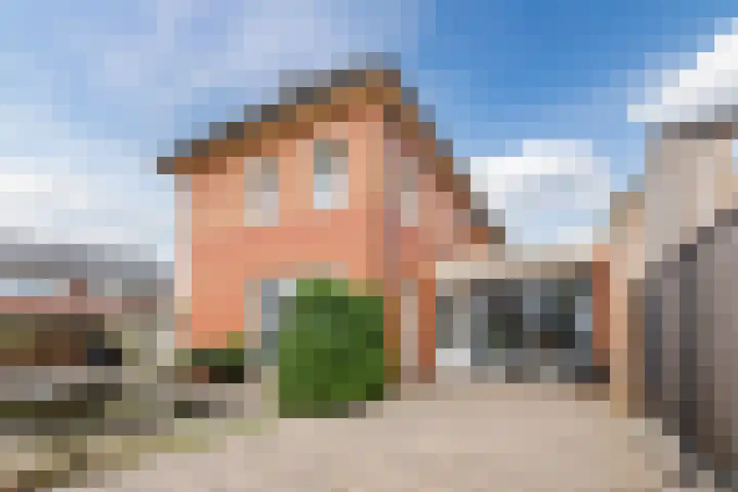 Mauritsstraat 7 A Lith thumbnail 37