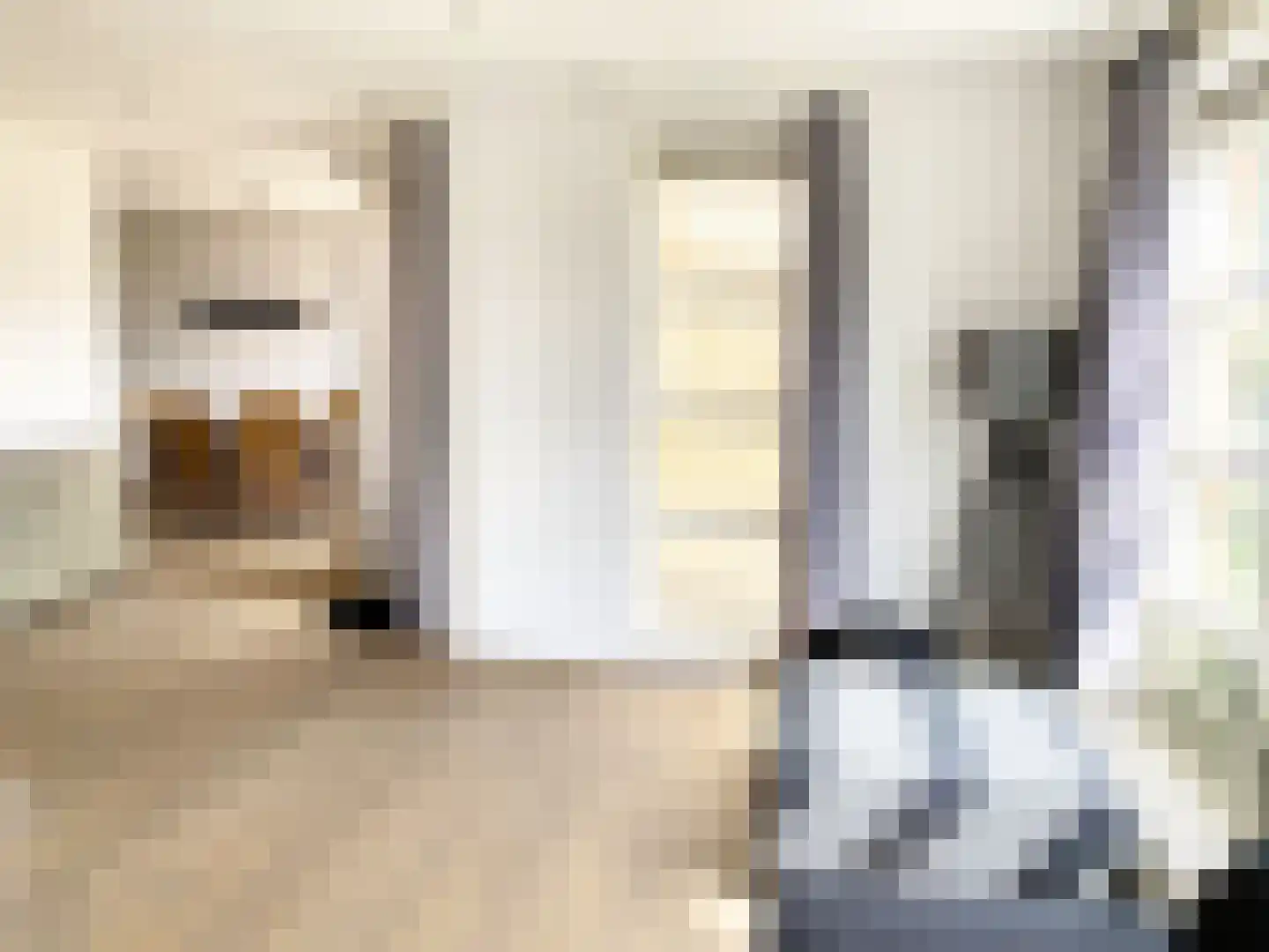 Mauritsstraat 7 A Lith thumbnail 8