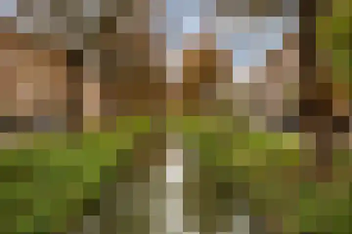 Mauritsstraat 70 BS Utrecht thumbnail 46