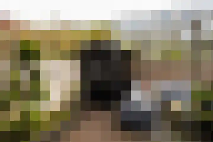 Mauritsstraat 76 Utrecht thumbnail 32