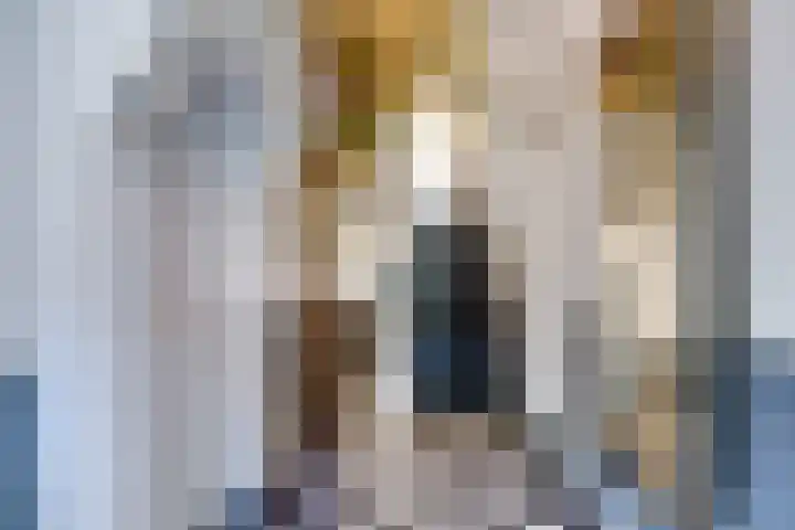Mauritsstraat 76 Utrecht thumbnail 7