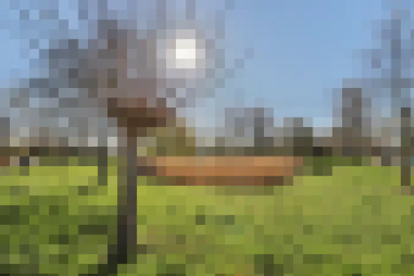 Mauritsstraat 8 Goes thumbnail 31