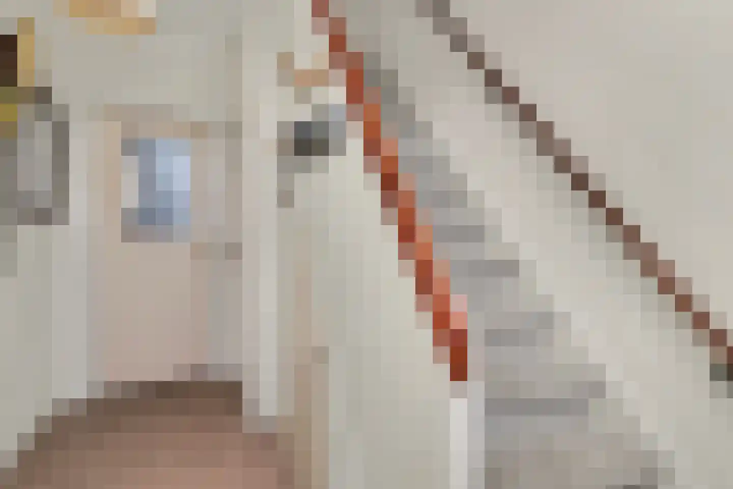 Mauritsstraat 8 Goes thumbnail 5