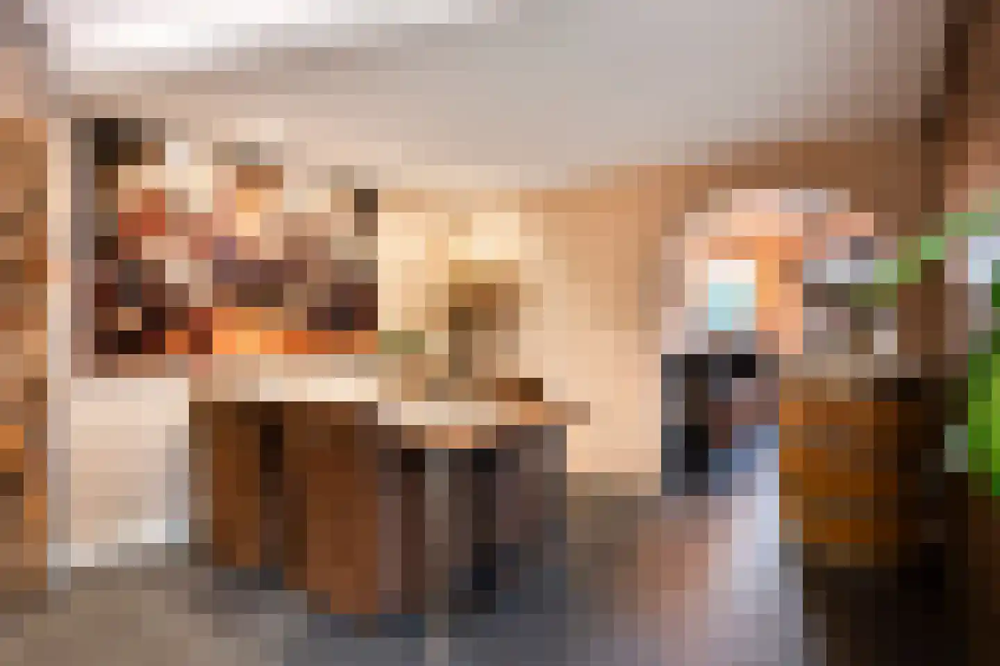 Mauritsstraat 8 Grevenbicht thumbnail 13