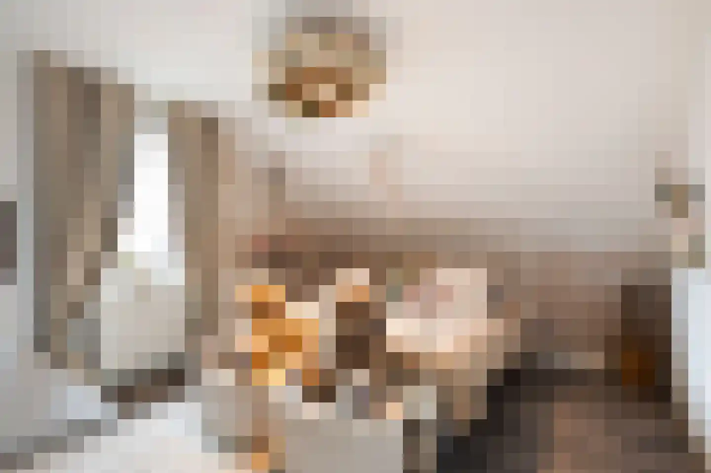 Mauritsstraat 8 Grevenbicht thumbnail 22