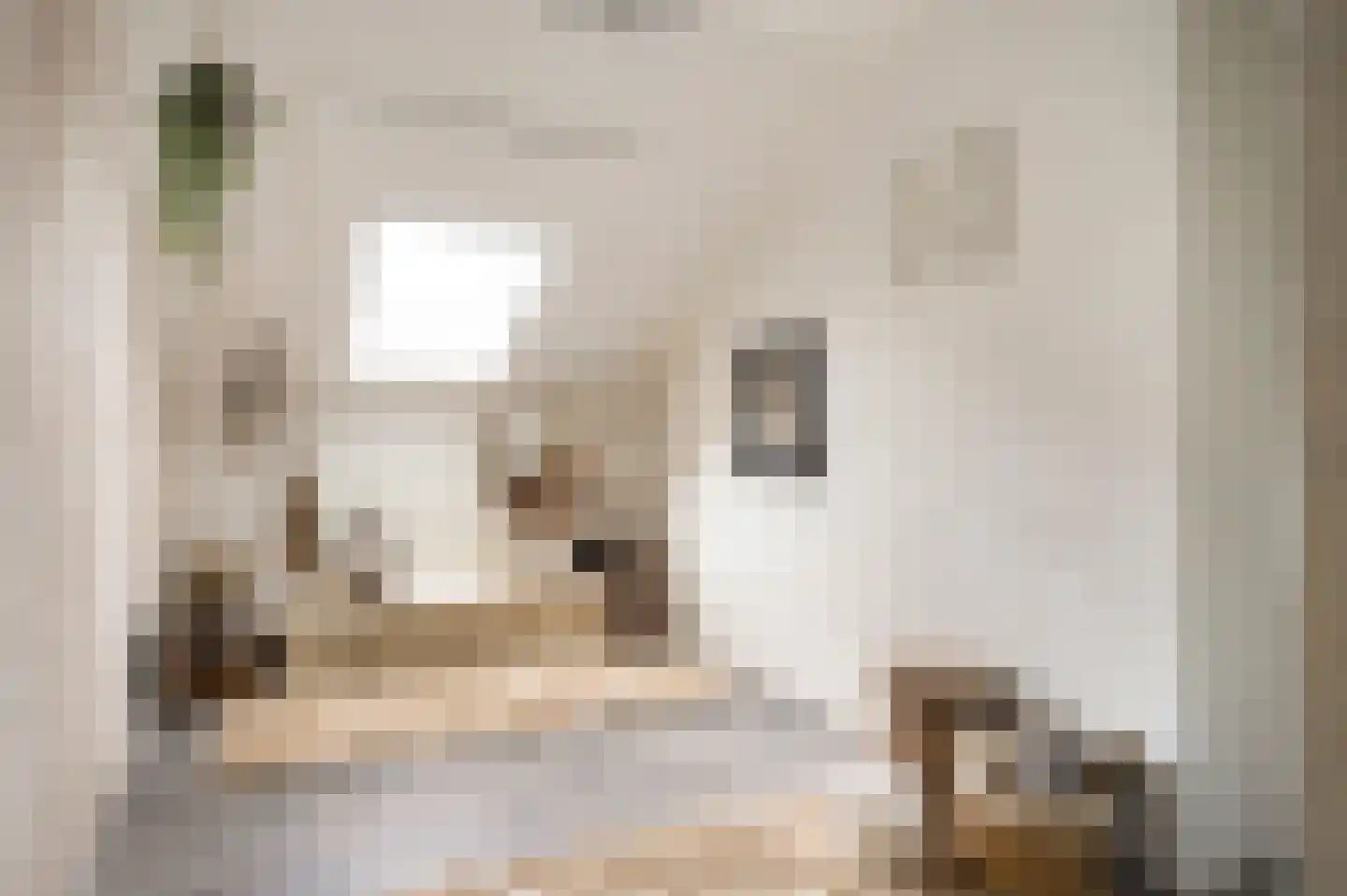 Mauritsstraat 8 Grevenbicht thumbnail 23