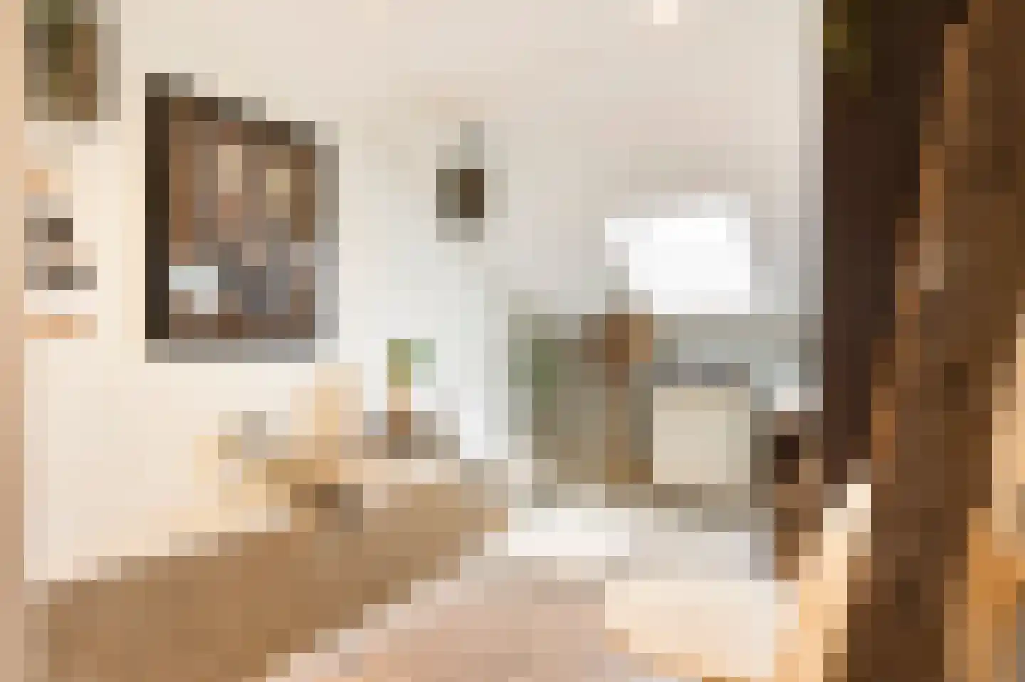 Mauritsstraat 8 Grevenbicht thumbnail 24