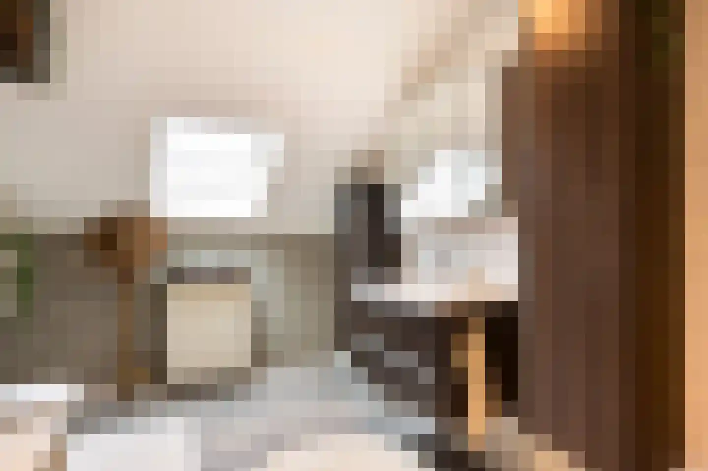 Mauritsstraat 8 Grevenbicht thumbnail 25