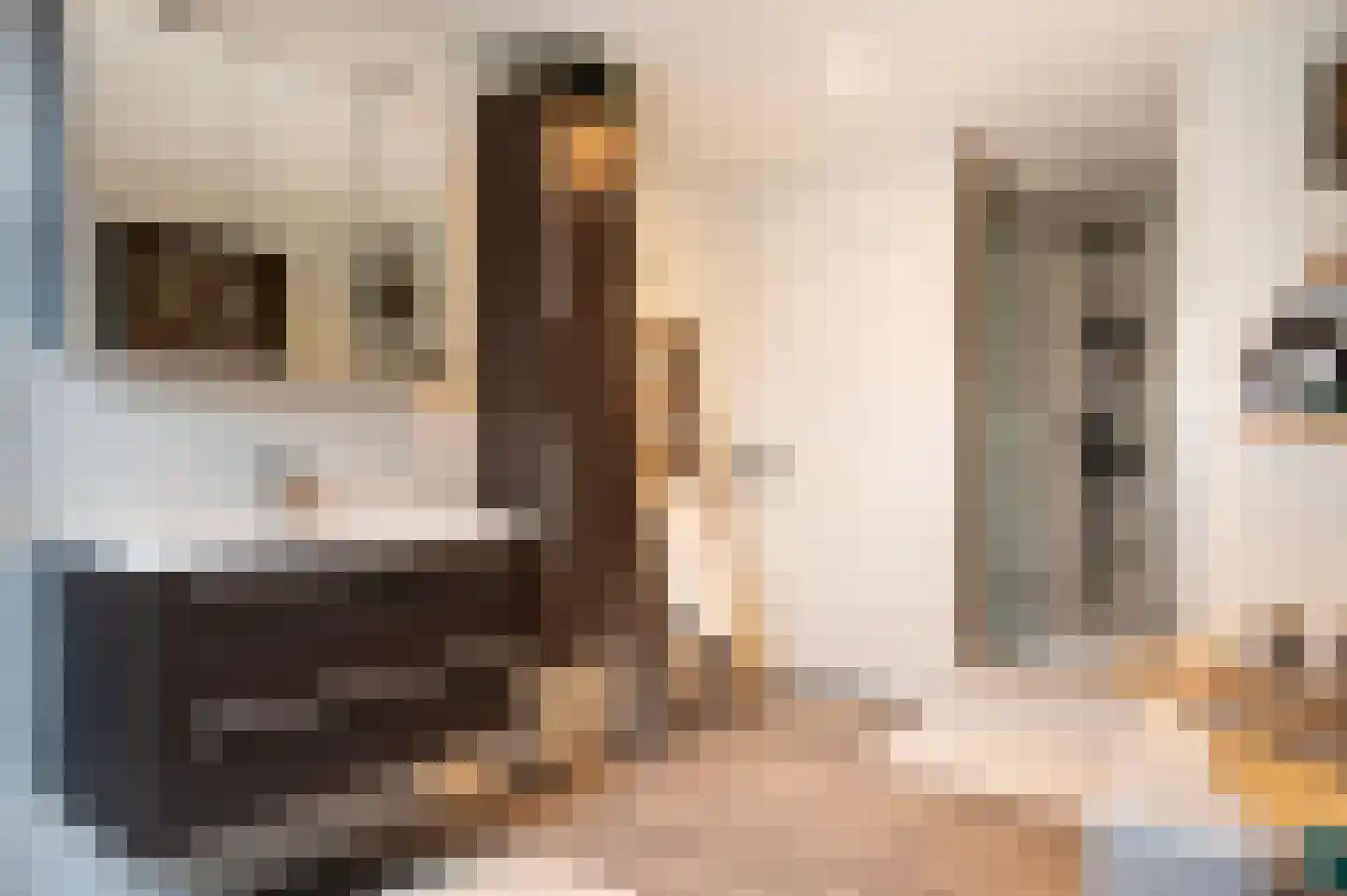 Mauritsstraat 8 Grevenbicht thumbnail 26