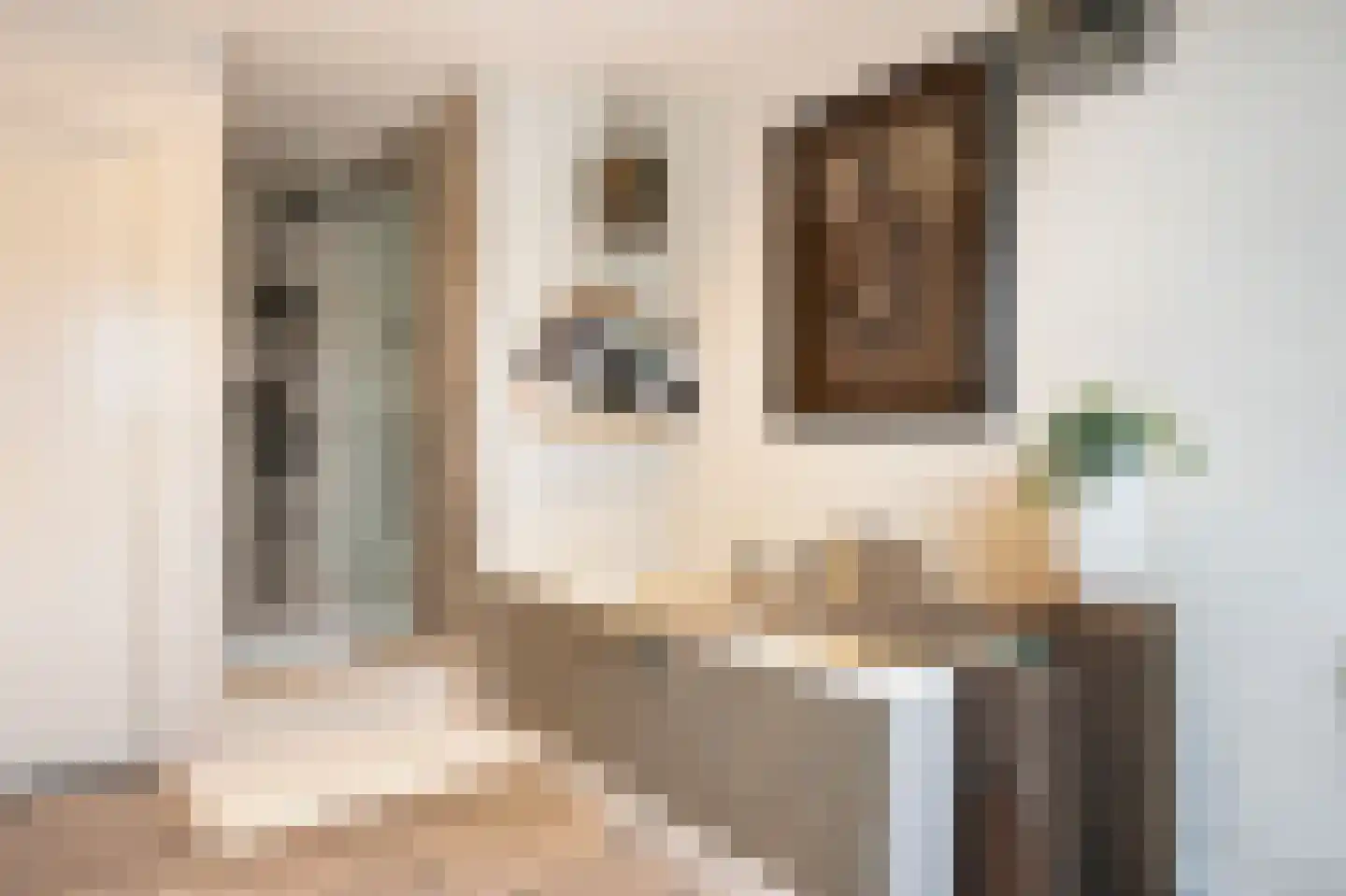 Mauritsstraat 8 Grevenbicht thumbnail 27