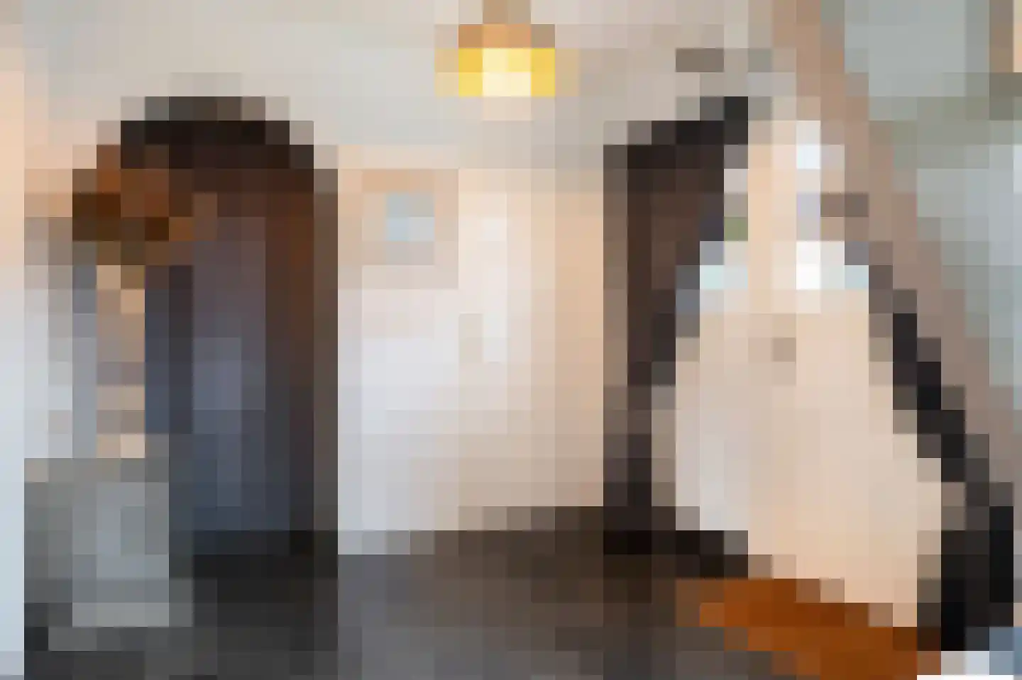 Mauritsstraat 8 Grevenbicht thumbnail 6