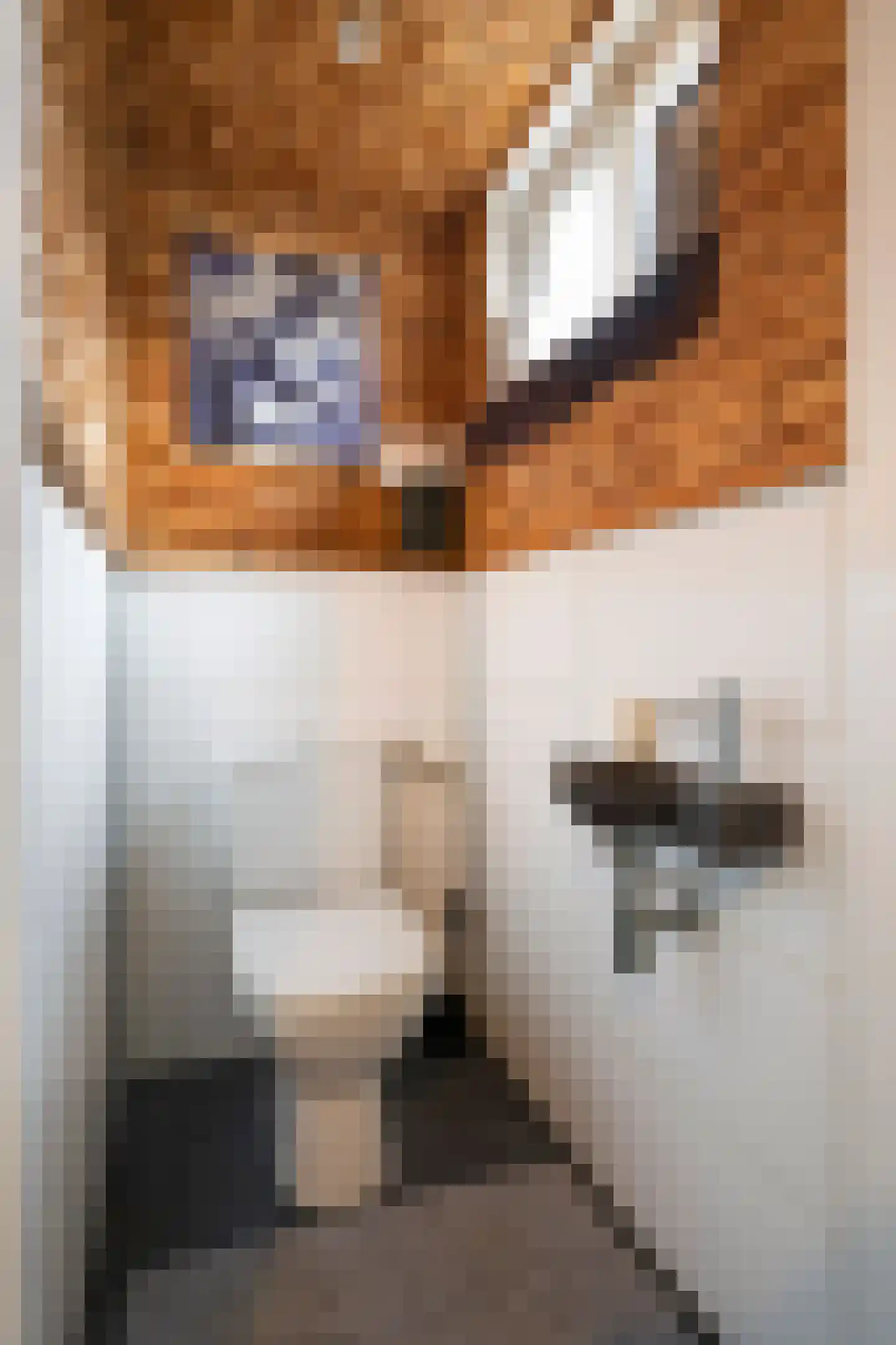 Mauritsstraat 8 Grevenbicht thumbnail 7