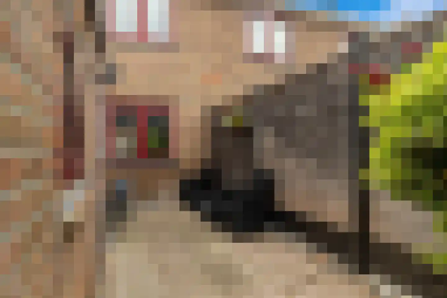 Mauritsstraat 8 Noord-Scharwoude thumbnail 21