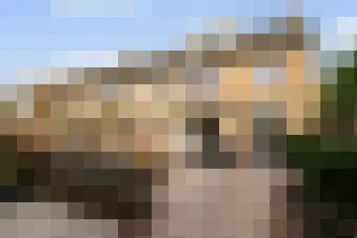 Mauritsstraat 8 Rijsbergen thumbnail 29