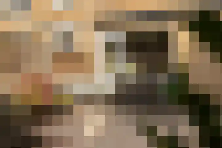 Mauritsstraat 8 Rijsbergen thumbnail 31