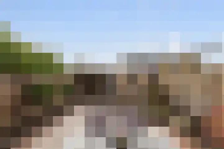 Mauritsstraat 8 Rijsbergen thumbnail 32