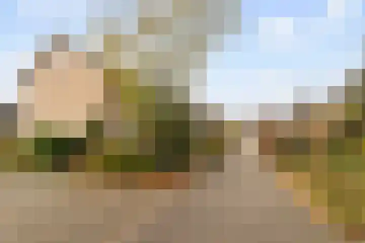 Mauritsstraat 8 Rijsbergen thumbnail 36