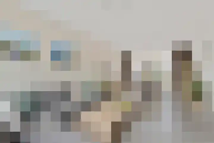 Mauritsstraat 8 Rijsbergen thumbnail 8