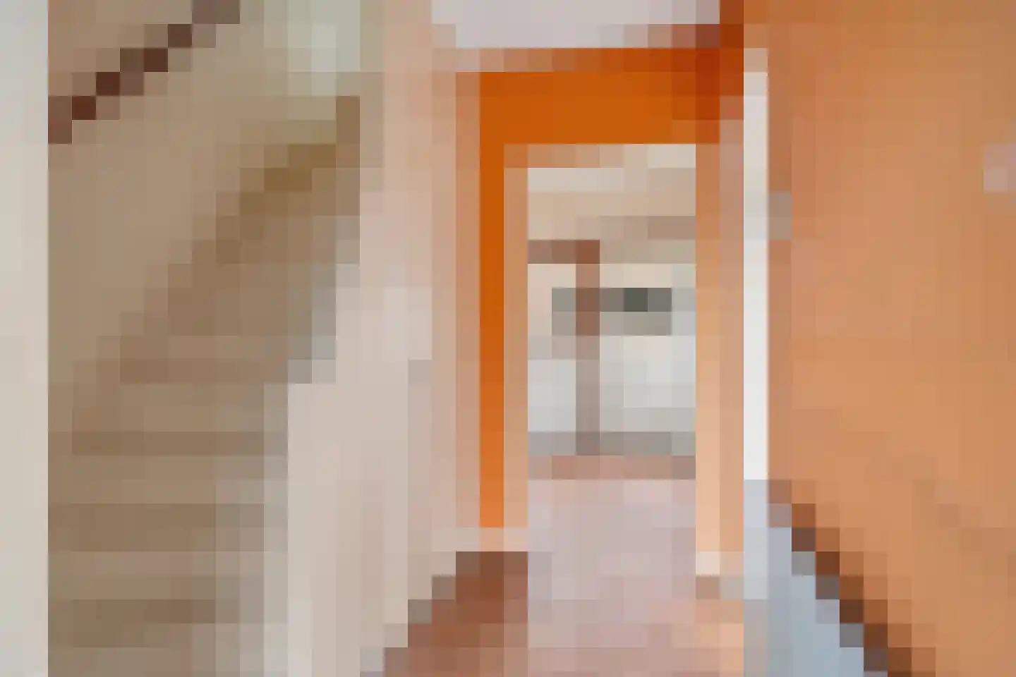 Mauritsstraat 9 Piershil thumbnail 5
