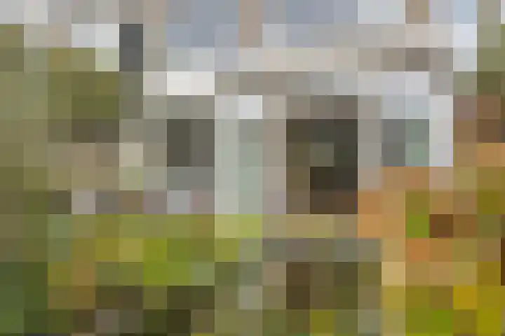 Mauritsstraat 9 Vianen thumbnail 23