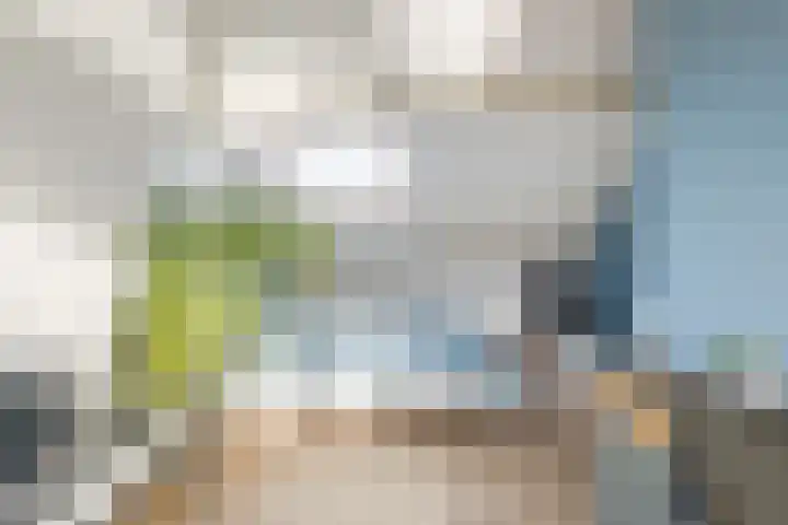Mauritsstraat 9 Vianen thumbnail 50