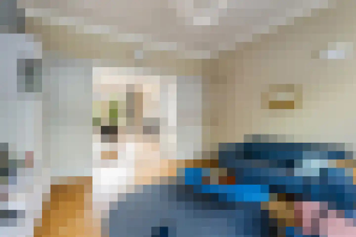 Mauritsstraat 90 Utrecht thumbnail 13