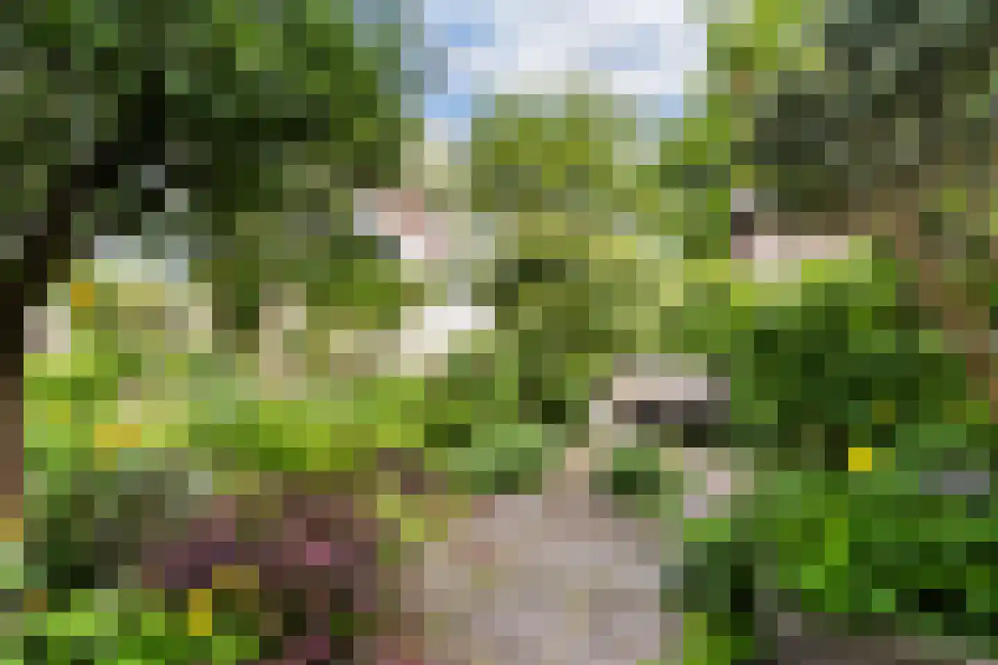 Mauritsstraat 90 Utrecht thumbnail 32