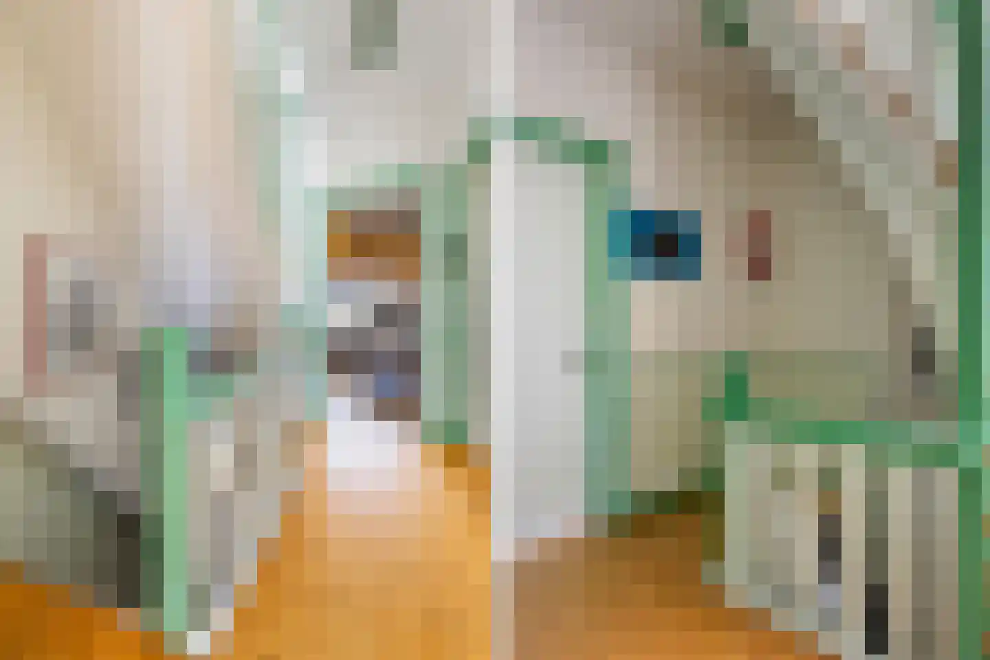 Mauritsstraat 90 Utrecht thumbnail 33