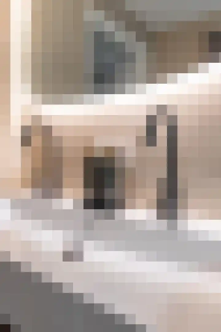 Mauritsweg 100 Stein thumbnail 18