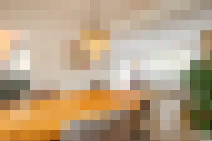 Mauritsweg 100 Stein thumbnail 9