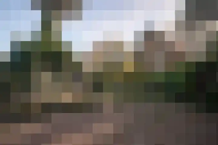 Mauritsweg 101 Stein thumbnail 20