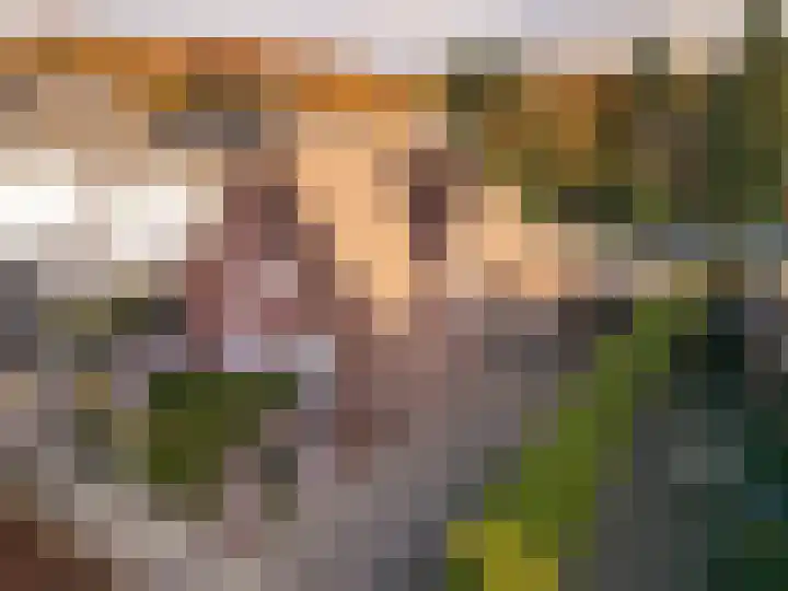 Mauritsweg 101 Stein thumbnail 4