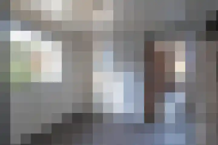 Mauritsweg 101 Stein thumbnail 5