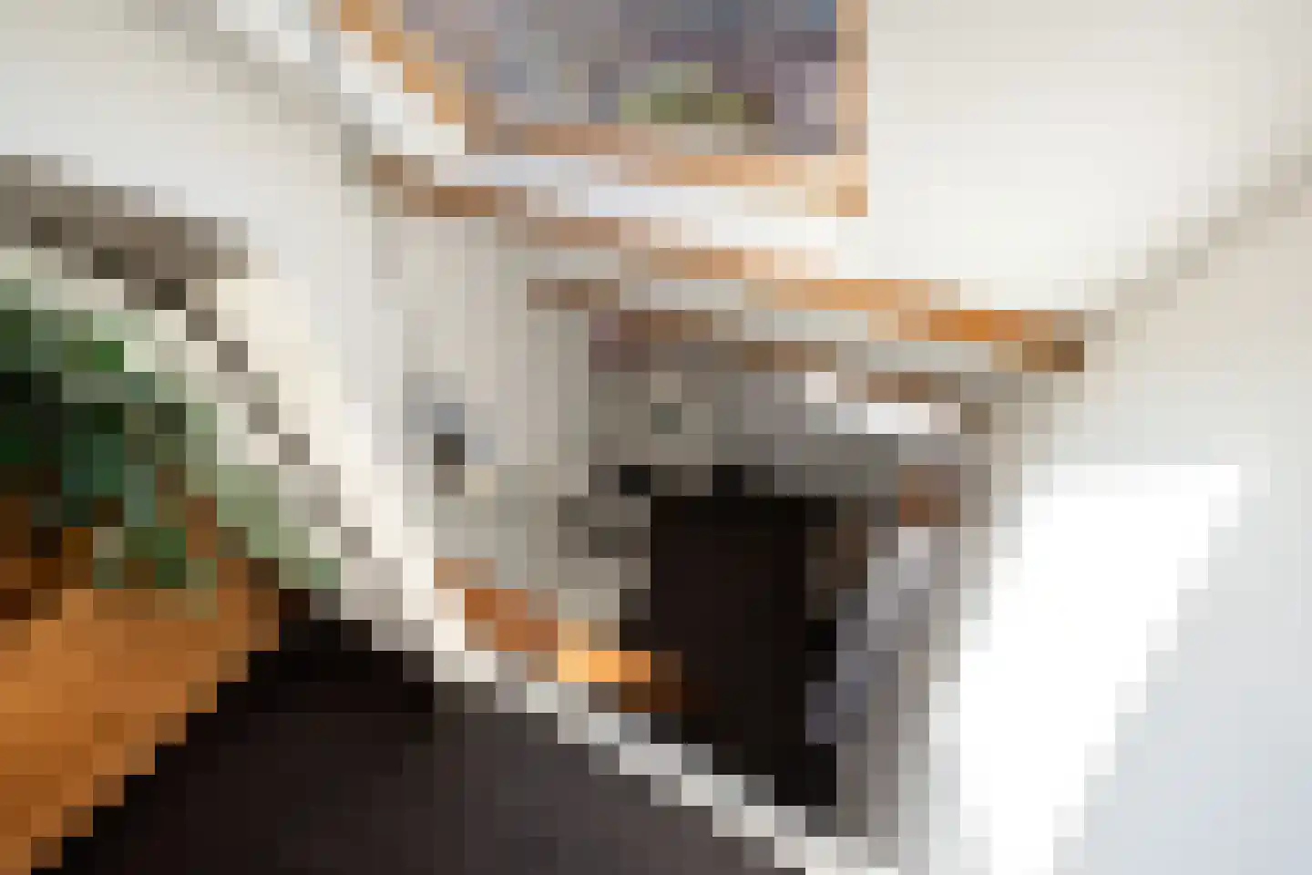 Mauritsweg 108 Ridderkerk thumbnail 39