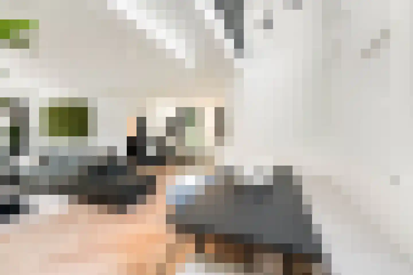 Mauritsweg 12 Ridderkerk thumbnail 21