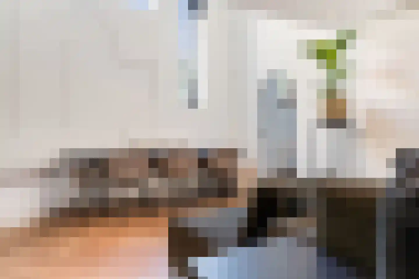 Mauritsweg 12 Ridderkerk thumbnail 22