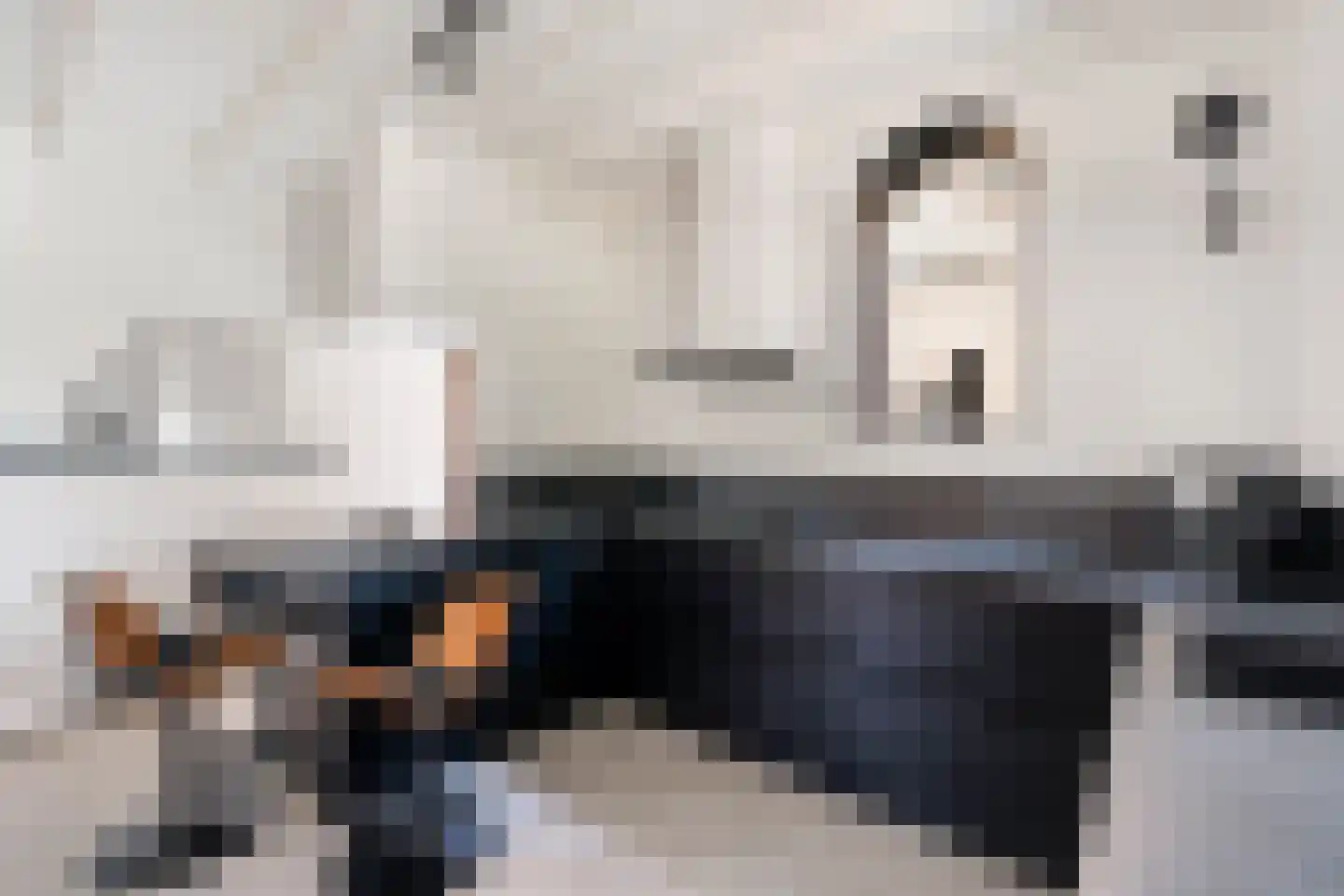 Mauritsweg 12 Ridderkerk thumbnail 27