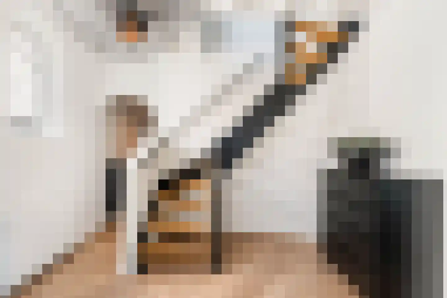 Mauritsweg 12 Ridderkerk thumbnail 42