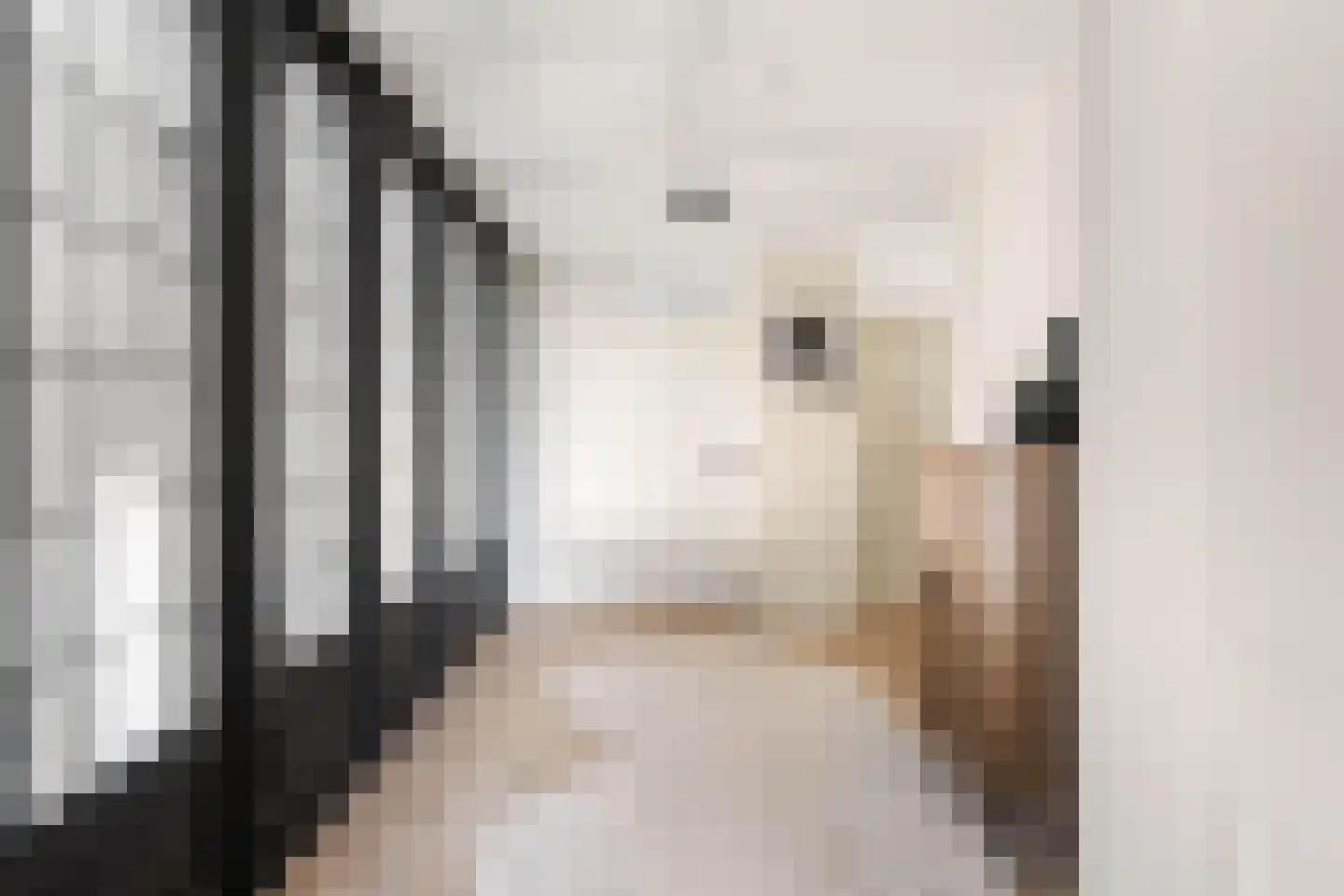 Mauritsweg 12 Ridderkerk thumbnail 47