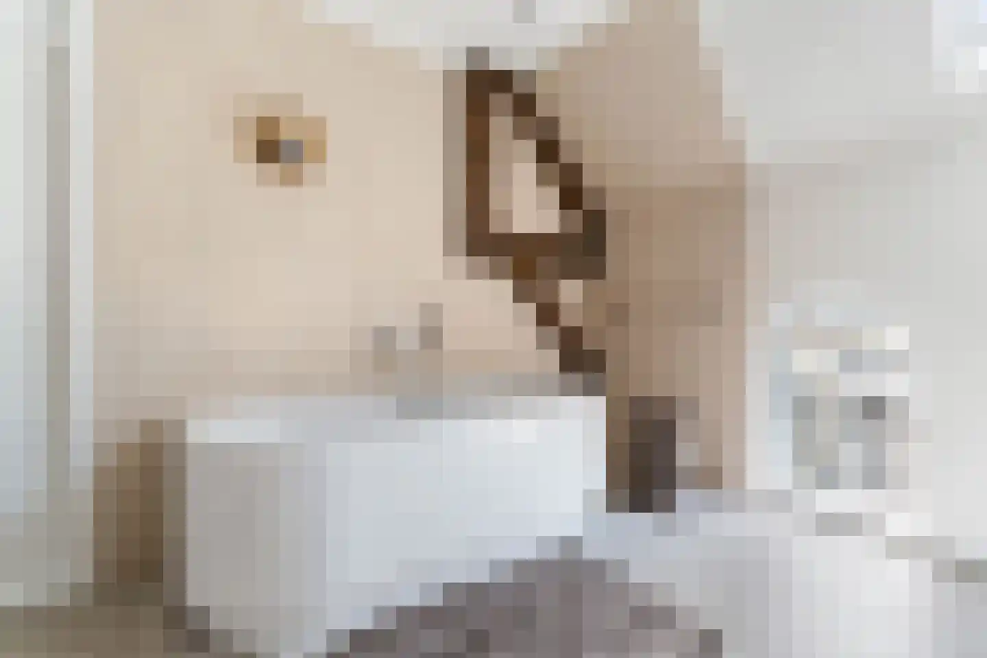 Mauritsweg 12 Ridderkerk thumbnail 51