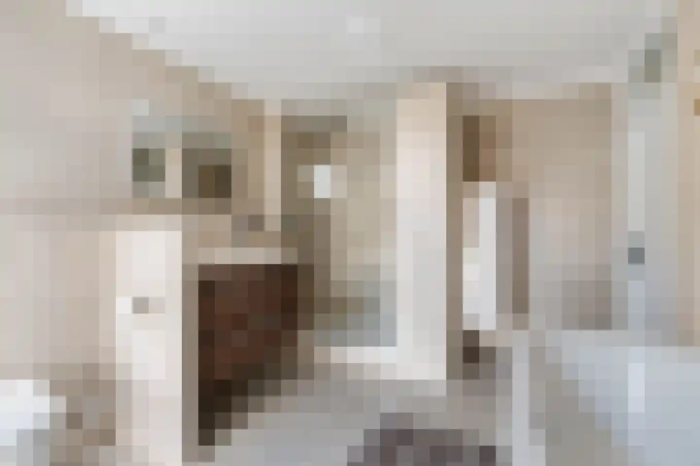 Mauritsweg 12 Ridderkerk thumbnail 52