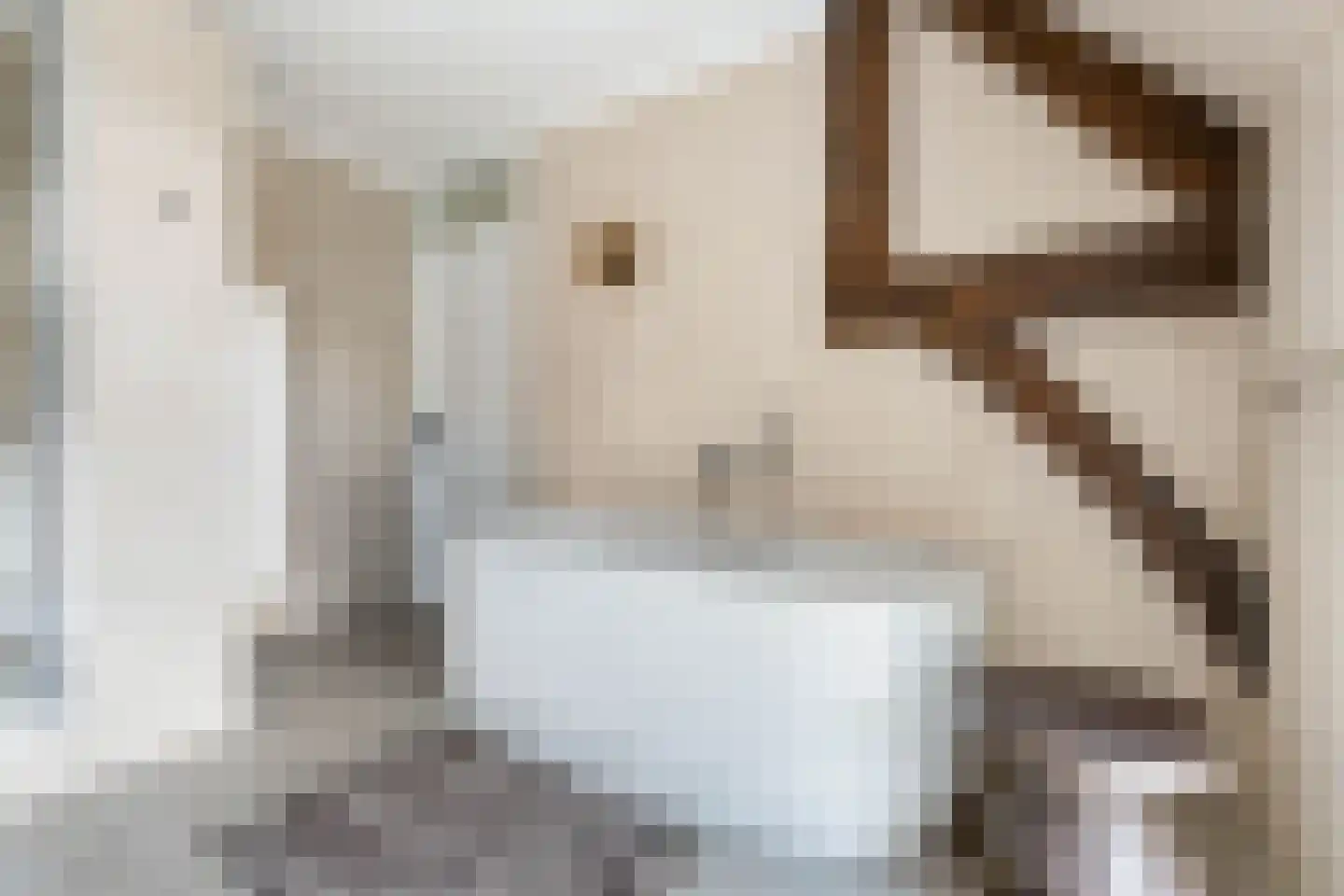 Mauritsweg 12 Ridderkerk thumbnail 54