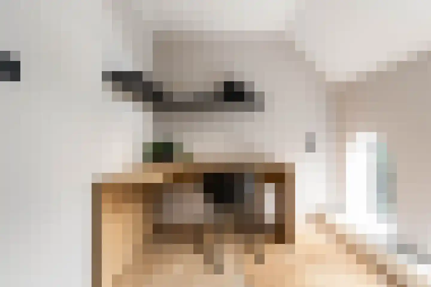 Mauritsweg 12 Ridderkerk thumbnail 56