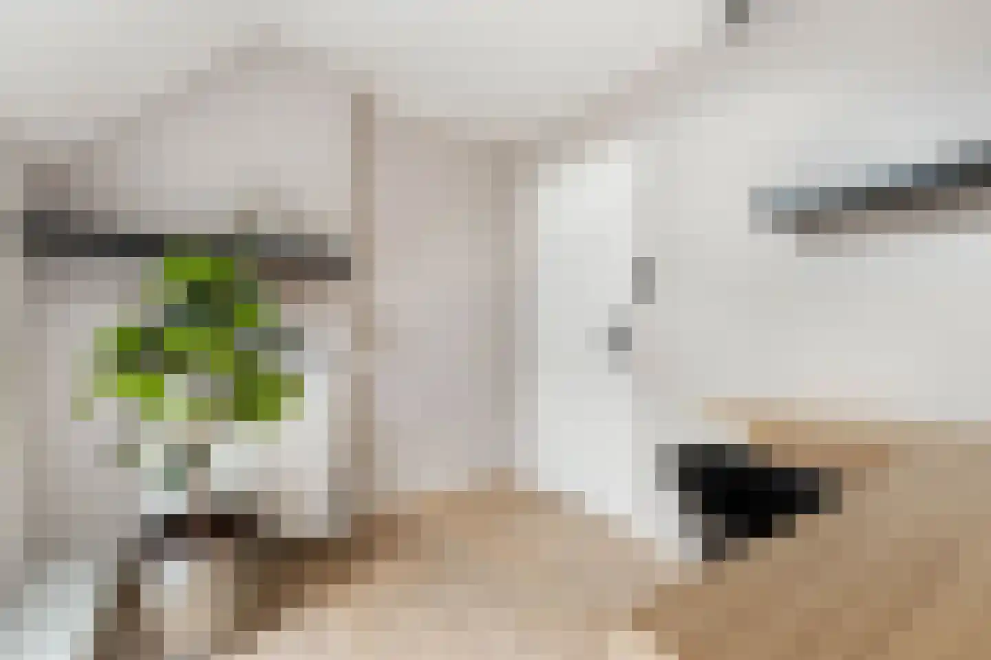Mauritsweg 12 Ridderkerk thumbnail 57